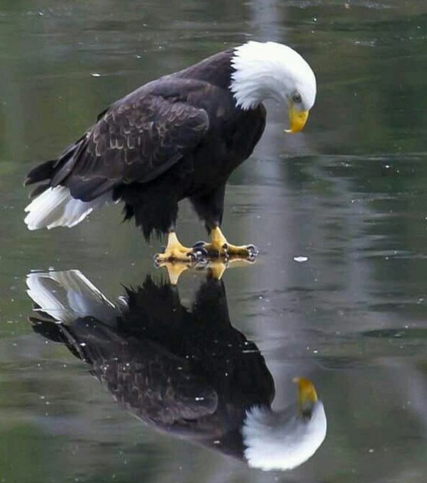 Dr. Jim Afremow tweet media