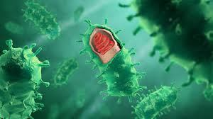 Virus …biologypulsusconference.wordpress.com/2020/02/29/vir…