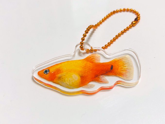 魚 高画質 のtwitterイラスト検索結果 古い順 魚 高画質 のtwitterイラスト検索結果 古い順