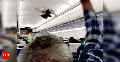 ER6qLsqUEAE97fm?format=jpg&name=small