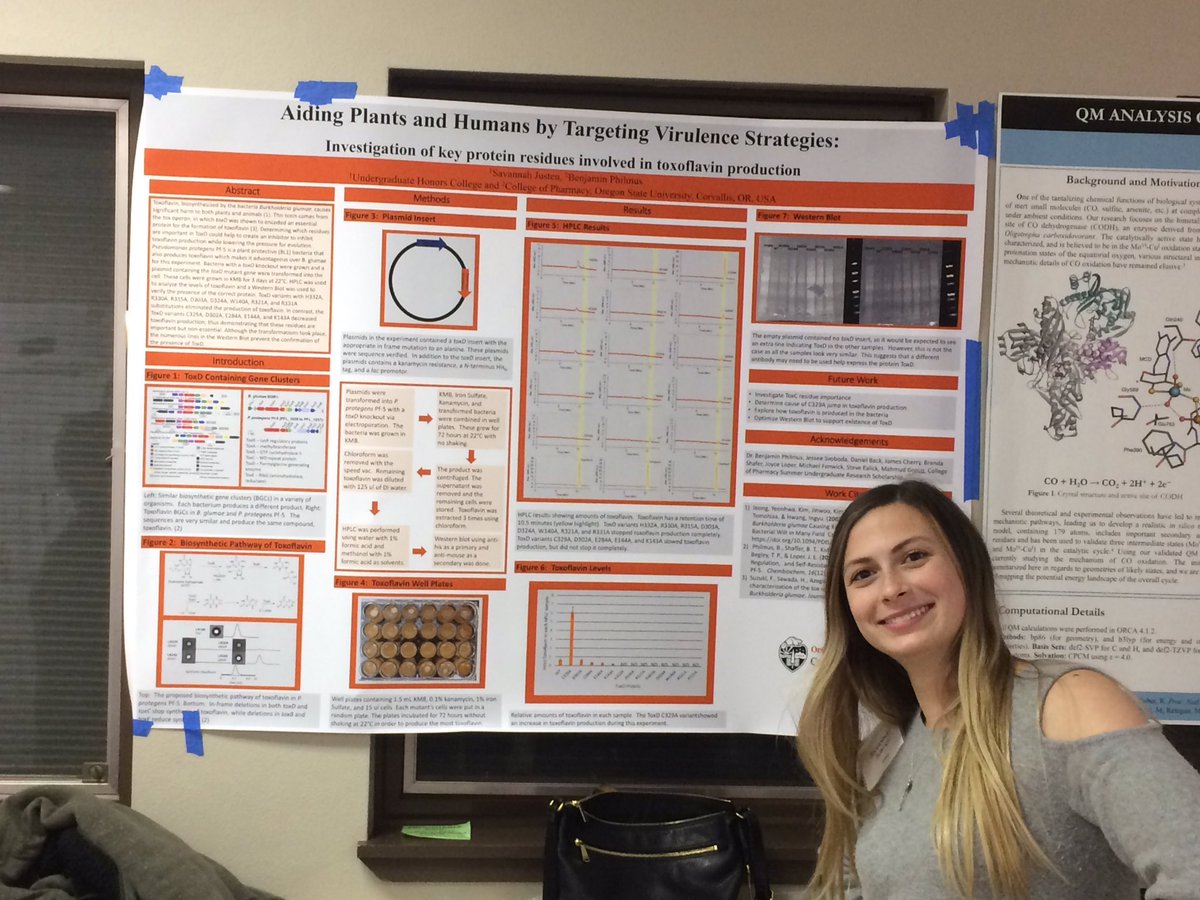 PhilmusLab's tweet image. Just starting the poster session at the #VolcanoConference. Really proud of the work and posters by Jessee, Daniel and Savannah.