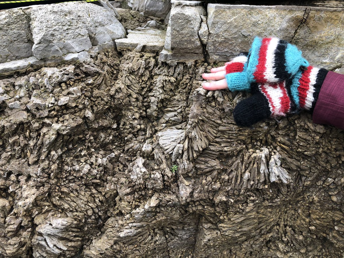Stuartsediment's tweet photo. Sedimentary field work on a Saturday morning with super keen second years looking at Zechstein carbonates 😀 https://t.co/HoDug6p0YW