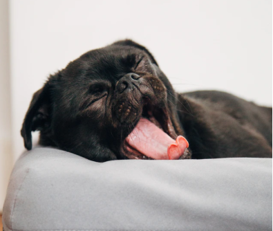 millenddevon's tweet image. 29th February: what will you do with 1 extra day?

We have a suggestion....NOTHING! That's right, kick back, chill out &amp;amp; relax. It will get you nicely in the mood for a relaxing break at the Mill End!

SPECIAL OFFERS😁: buff.ly/2M76lZc

#leapyear2020 #dartmoorspecialoffer