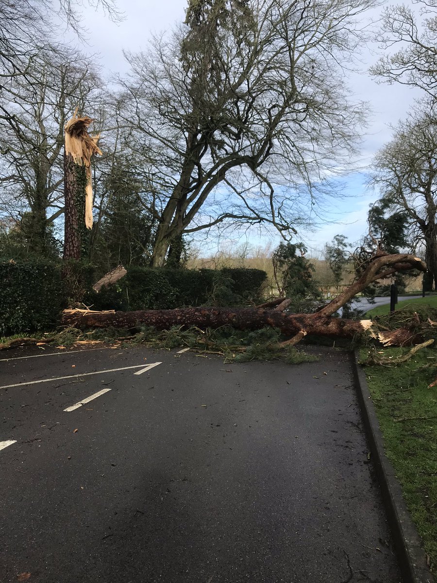 pinewoodprepsch's tweet photo. Whoops https://t.co/UDzkx3Ehms