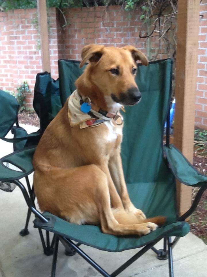 dakardingo's tweet image. Spanish people are so kind.

I was waiting outside the supermarket with my 14 yo Aussie friend David (while his Mum did some shopping) when a Spanish lady offered us some money. She thought we looked homeless. 🐾🇦🇺🇪🇸😚