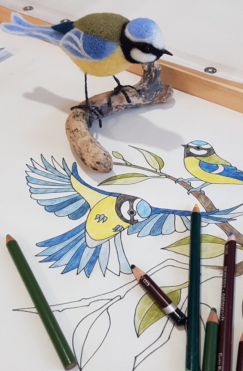 #workingdrawing #sketching preparing for this years <a href="/AngleseyArts/">Anglesey Arts Weeks</a> 4-19 #April #Anglesey #Wales #lovecolour #birds #silkpainting