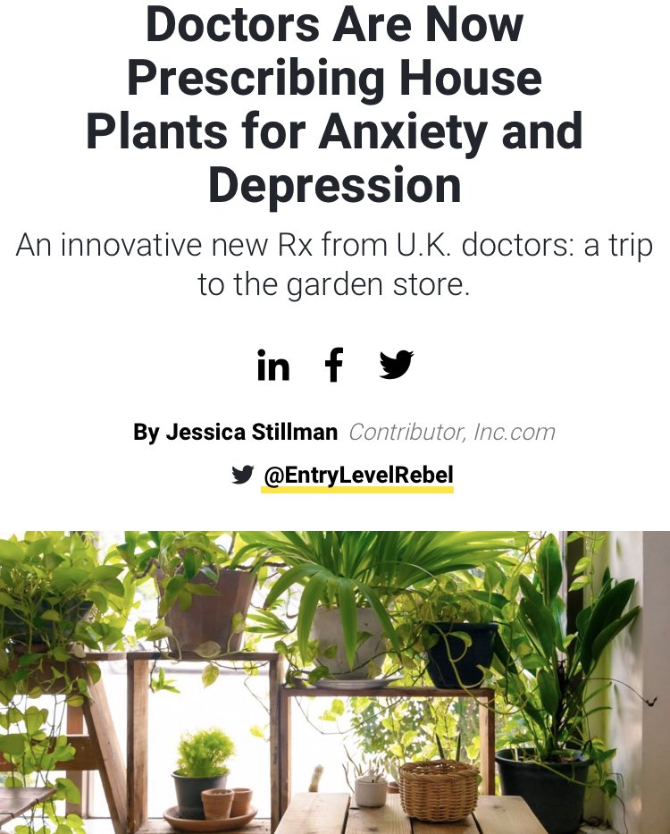 acacia_uk's tweet photo. The benefits of plants 🌱 https://t.co/DRrt9jFmSR