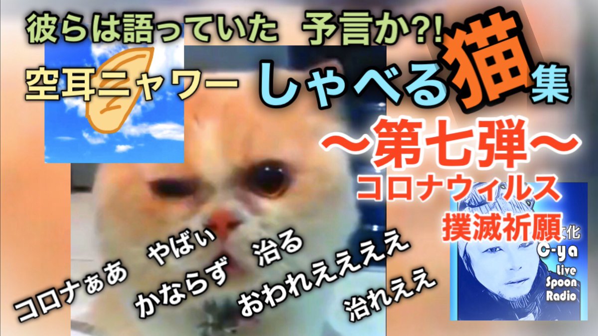 シーヤ 遊文化 しゃべる猫集 シリーズ第七弾 撲滅祈願 早く平穏な日常が戻りますよう祈願致します 再編集しました しゃべる猫集 空耳ニャワー しゃべる猫 猫動画 猫 ねこ ネコ 新型コロナウィルス コロナウィルス コロナウィルス撲滅 シーヤ 遊文化 しゃべる猫集 シリーズ第七弾 撲滅祈願 早く平穏な日常が戻りますよう祈願致します 再編集しました しゃべる猫集 空耳ニャワー しゃべる猫 猫動画 猫 ねこ ネコ 新型コロナウィルス コロナウィルス コロナウィルス撲滅