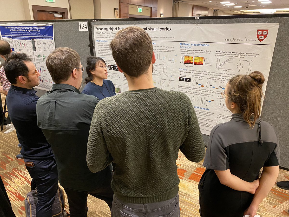 guitchounts's tweet photo. @rheeneuro repping coxlab @ #cosyne2020 wooooooo #cosyne20 https://t.co/gd9sPs9Hit