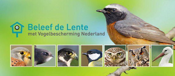 Retweet !!! Live webcam birds !!! Beleef de lente is vanaf 1 maart weer in de lucht; een geweldige periode breekt aan: naturetoday.com/nl/nl/nature-r…