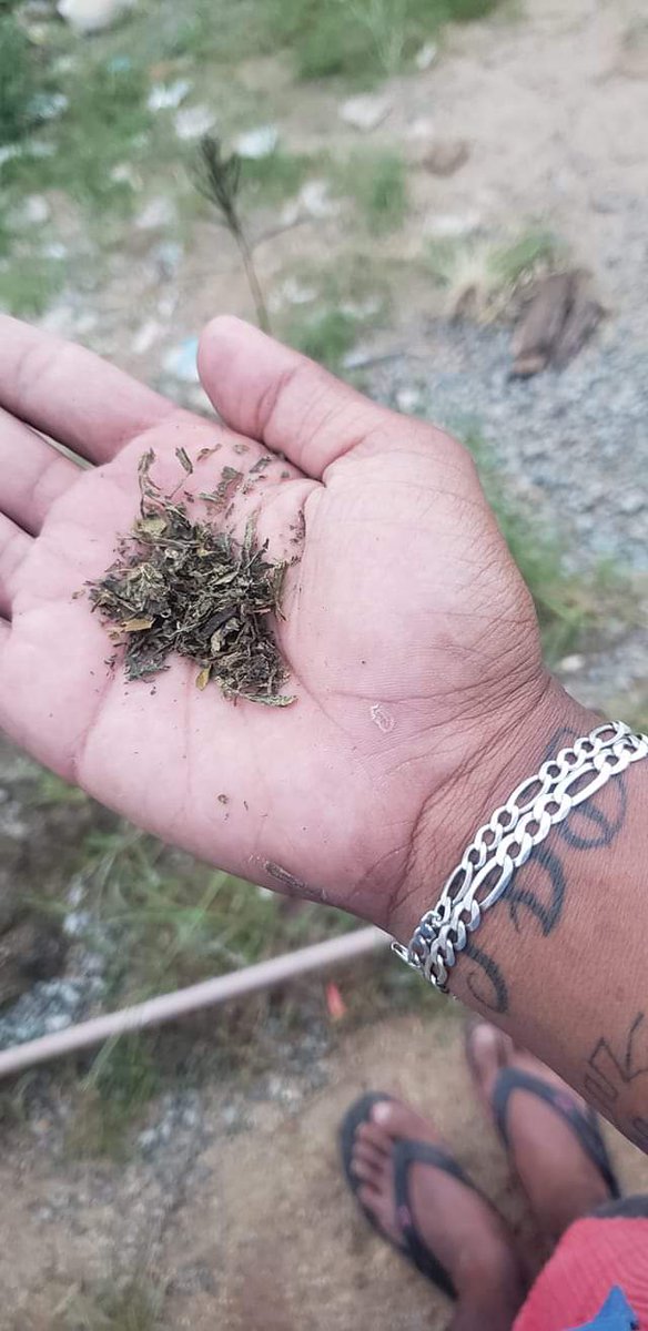JooVito333's tweet photo. pode bate seu polícia oq doi é compra essa maconha https://t.co/eAZlAfzpcH