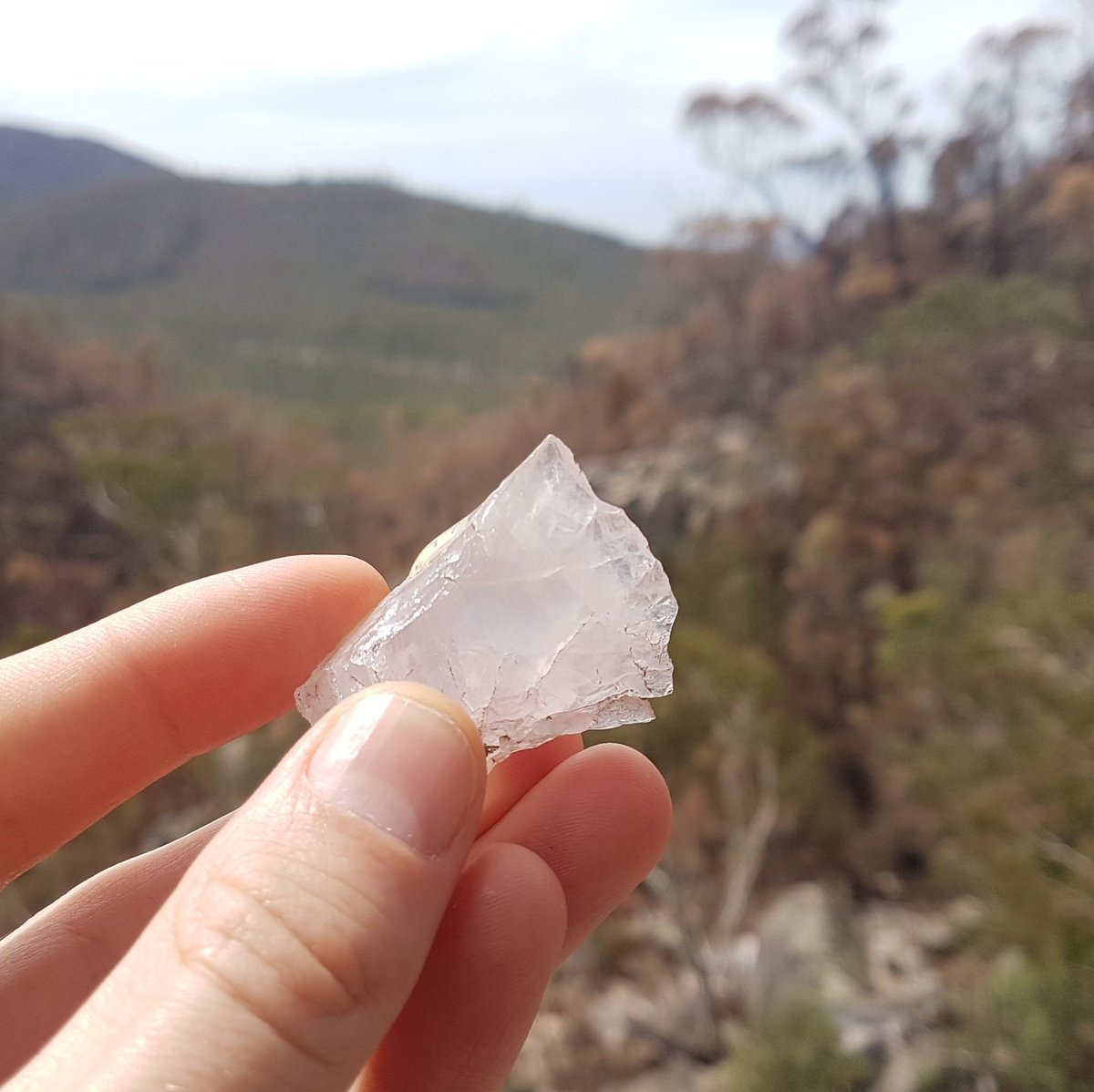 JoeFayle's tweet photo. Went hiking though the mountains. Came across a piece of quartz that looked foreign to the region. Dug it out of the trail and to my delight it had a specimen number glued to it. WHAT LEGEND IS TAKING THEIR ROCK COLLECTION FOR A WALK!?
#geology https://t.co/J3gRYgPgHq