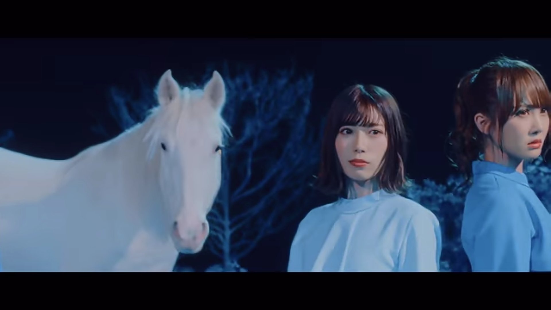 超難問日向坂クイズ この白馬の名前は ヒント 青春の馬 T Co Lwvono0vk0 Twitter