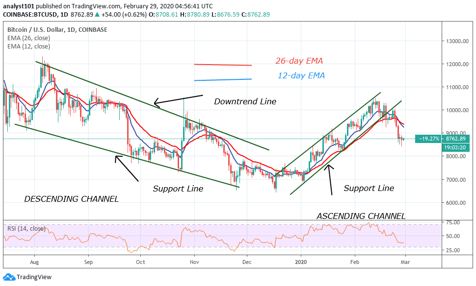 NewsSentimentAI's tweet photo. Bitcoin Price Prediction: BTC/USD Consolidates Above $8,500, Targets $8,200 and $7,800 Lows ⚓📉  
Positive Sentiment Score: 0.54%   Negative Sentiment Score: 99.46%   https://t.co/it6zuAOb23 https://t.co/2mtIo20Rzd