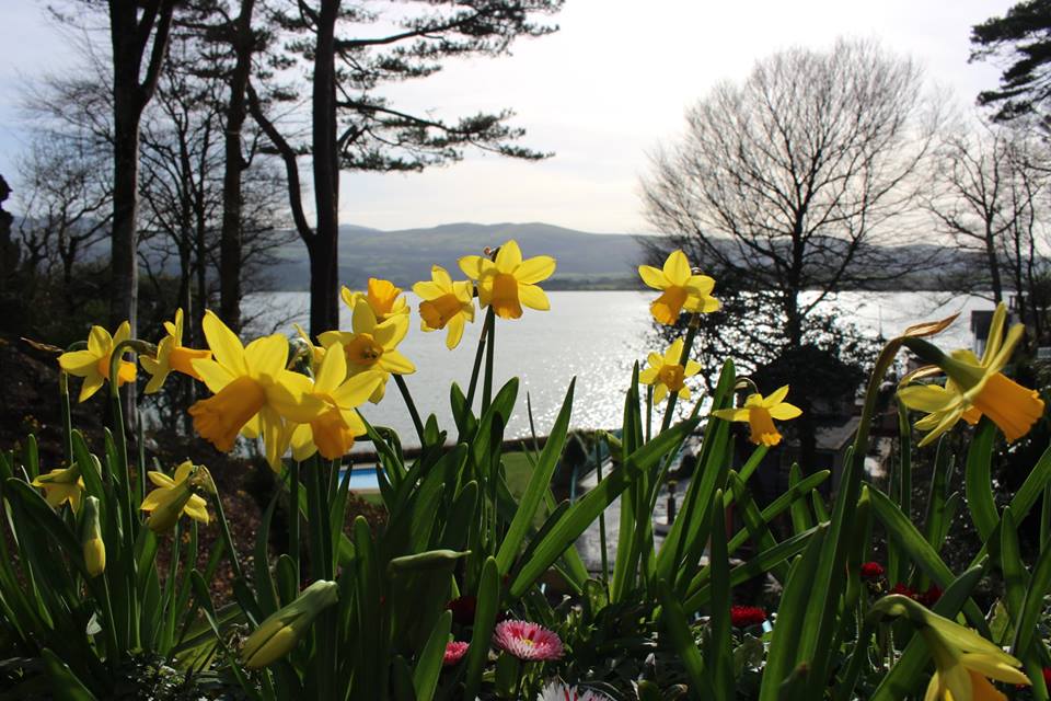 6thtrail's tweet photo. 🏃‍♀️🏃I wonder what normal people do on Saturdays? 🏃‍♀️🏃
Entries still open - https://t.co/sOMy8MCmuQ
Picture courtesy of @Portmeirion #TrailRun #Runners #RunChat https://t.co/1o1uuZLA1K