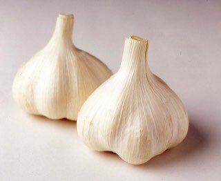 野菜の花言葉 Twitter Search Twitter