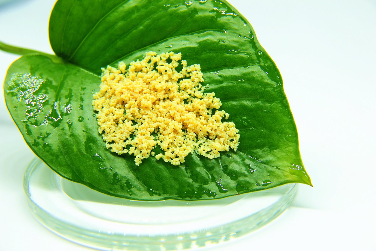 sunresin's tweet image. Plant extraction is a process to gather the trace bioactive compounds from the tissue of a plant. Seplite® adsorbent resin and technique will provide the feasible solutions for customers. More at:seplite.com/plant-extracti…
#plantextraction #plantextract #adsorbentresin