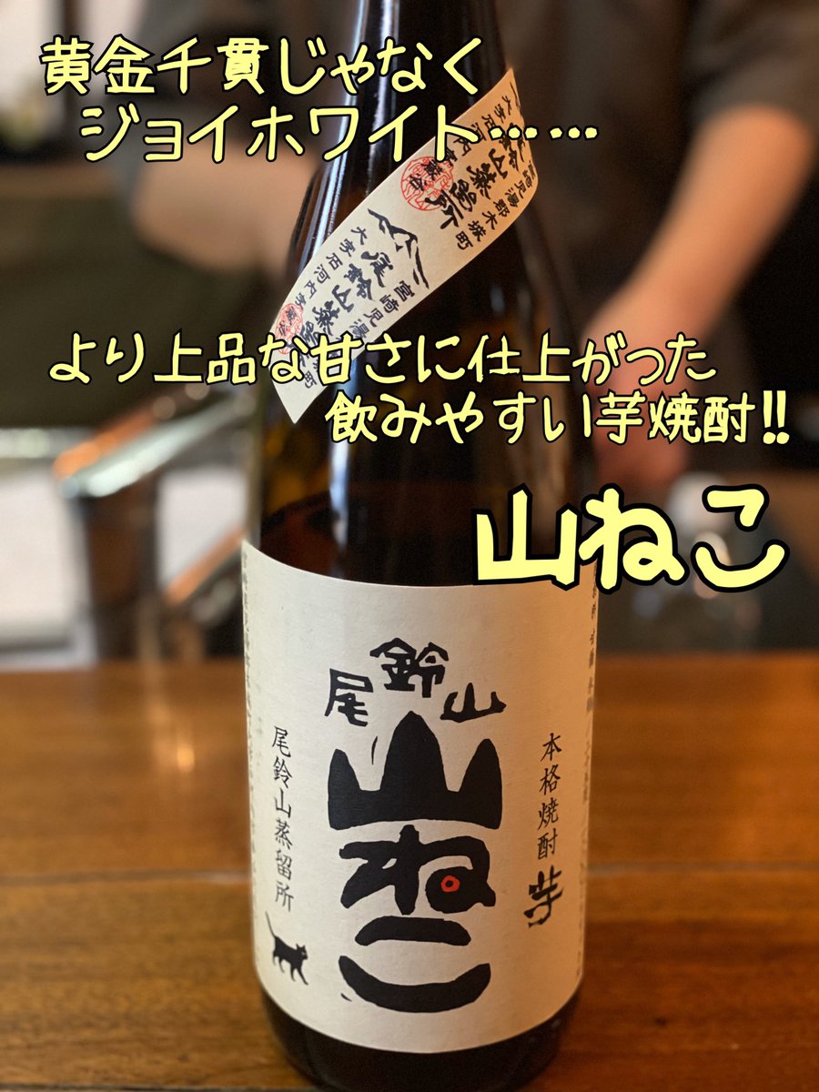 やきとん 焼酎 路地 本日の焼酎 芋焼酎 山ねこ ジョイホワイト を原料に作られた 上品で飲みやすい甘さが特徴 軽やかでアルコールを感じにくいので 女性にもオススメ 飲み方はロックかストレートが良きです ゆにでした やきとん 焼酎