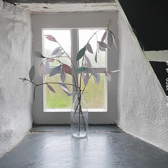 TheWelshHouse's tweet photo. Do not fast forward into something you’re not ready for or allow yourself to shrink back into what’s comfortable. Growth lives in the uneasiness the in-between the unfinished sentence you are a season of becoming. 
I think I may if already told you that … https://t.co/tfnyojCJwz https://t.co/AErNEa2J2G