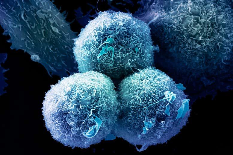 #GenomeGermany2020 #GenomeScience #Cancer #GeneticMutations