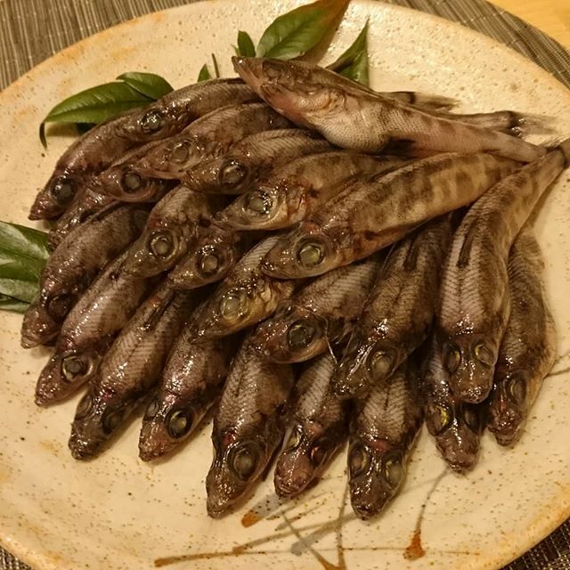 鮨たじま中野坂上店 Sushitajimanaka Twitter