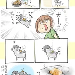 トイプードルさん強し。熱々お肉から身を守る秘訣!