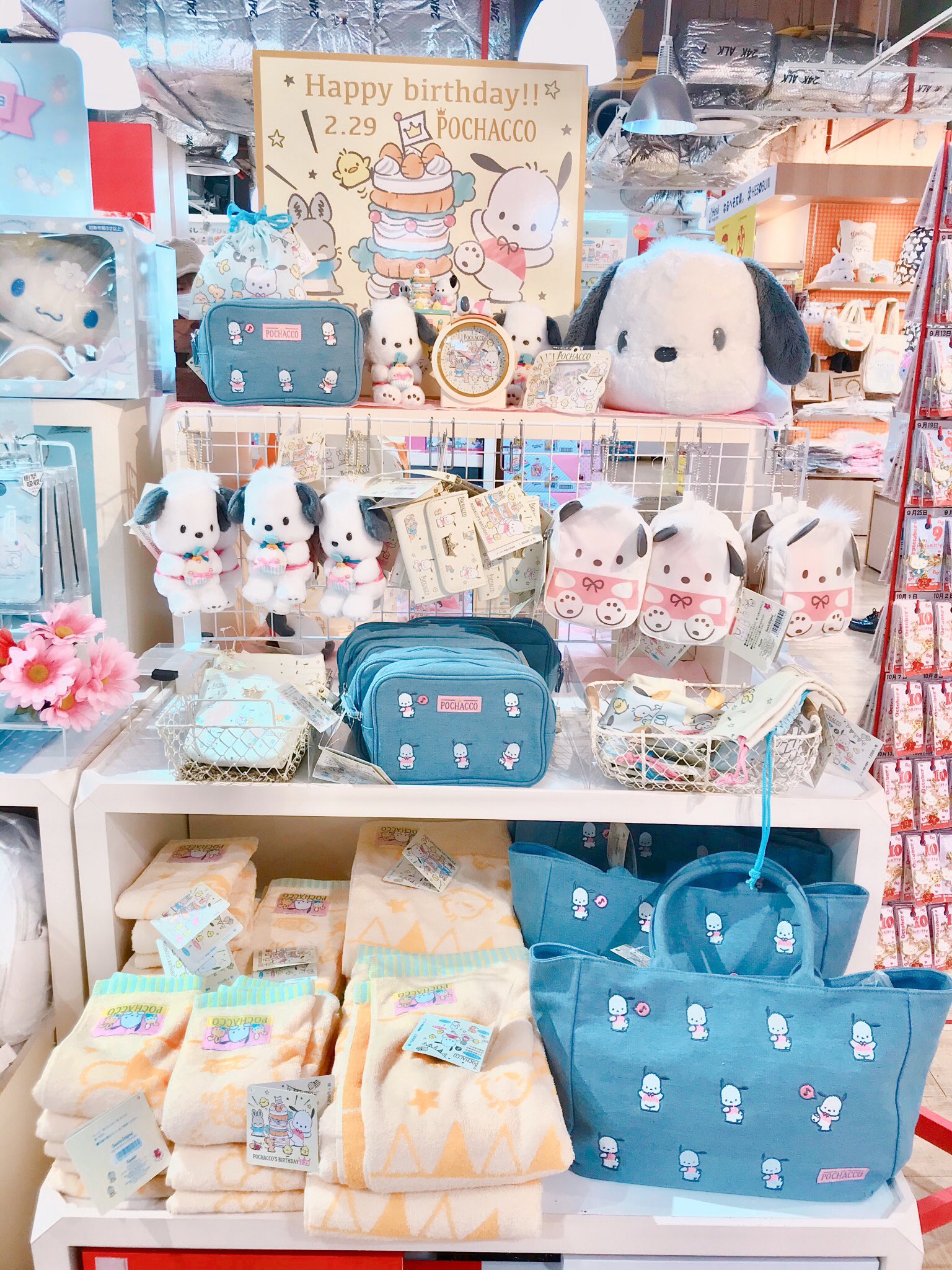 キデイランド大阪梅田店 公式 ハローキティショップ 今日2 29は4年に一度の ポチャッコバースデー 梅田店ではかわいい ポチャッコ グッズをたくさん取り扱い中 かわいいグッズをゲットしてお誕生日を盛り上げましょう