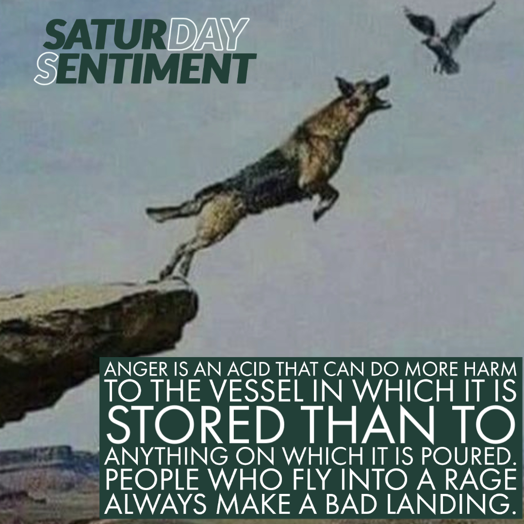 Think Positive and Stop being angry 

#LPU #CPE #ThinkBIG #SaturdaySentiment