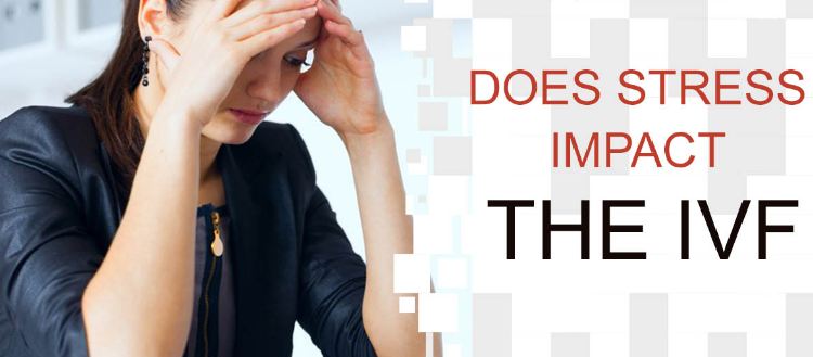 Is stress affecting your fertility or your IVF success?
ivffertility.blogmaster.net/post-is-stress…