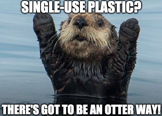 ShumJing's tweet photo. Be the change that you want to see in the world! 🙋‍♀️

Single-use items like cups, lids, straws, can be harmful to the planet and animals.❌

There's got to be another way, right? Cut out those disposable items and bring your reusable as much as you can!♻️

#stopsingleuse https://t.co/yUrt9hvLzq