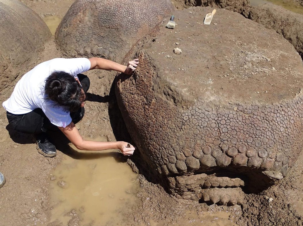 Dr Dean Lomax tweet media