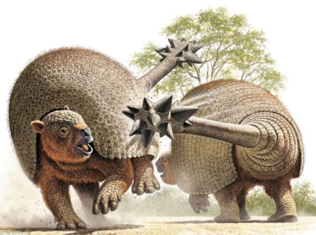 Dr Dean Lomax tweet media