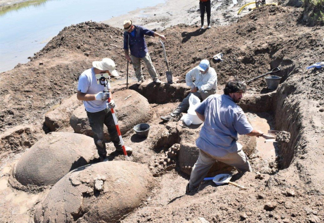 Oh, wow! Check this out.⠀
⠀
A farmer stumbled upon FOUR giant armadillo relatives, called glyptodonts, in Buenos Aires, Argentina. Presumably, the close association suggests they were a social group. 

They're about 20,000 years old. ⠀

Images: CEN/Incuapa-Conicet.