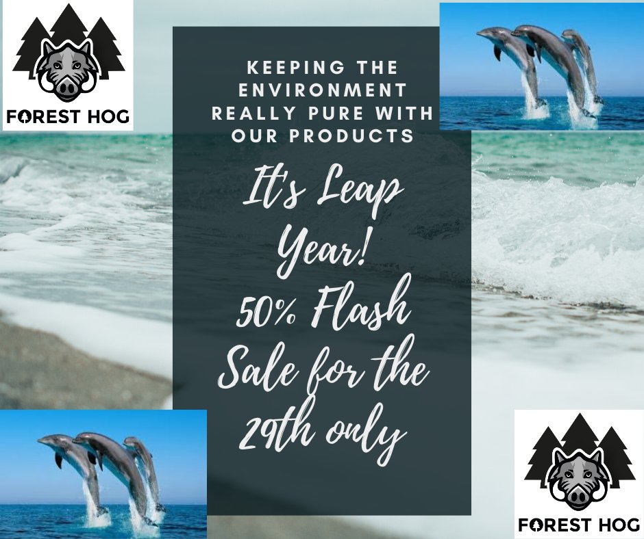 A nutty Leap Year offer - but Hey! Why not. 👍 🌲 🌍 💚 ✔️ ♻️