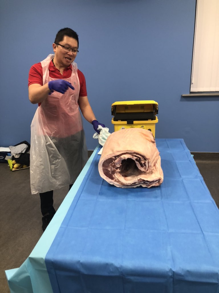 STRIVEPostgrad (@steespged) on Twitter photo All set up and ready for Day 2 violent knife crime and surgery <a href="/RCSEd/">The Royal College of Surgeons of Edinburgh</a> <a href="/PengF_Wong/">Peng Wong</a> <a href="/SouthTees/">South Tees Hospitals</a> <a href="/STRIVEacademic/">STRIVE Academic Centre</a> <a href="/rigdengreen/">Barney Green</a> <a href="/nhsfyp/">NHS Find Your Place</a> @cleveland_pcc All set up and ready for Day 2 violent knife crime and surgery <a href="/RCSEd/">The Royal College of Surgeons of Edinburgh</a> <a href="/PengF_Wong/">Peng Wong</a> <a href="/SouthTees/">South Tees Hospitals</a> <a href="/STRIVEacademic/">STRIVE Academic Centre</a> <a href="/rigdengreen/">Barney Green</a> <a href="/nhsfyp/">NHS Find Your Place</a> @cleveland_pcc