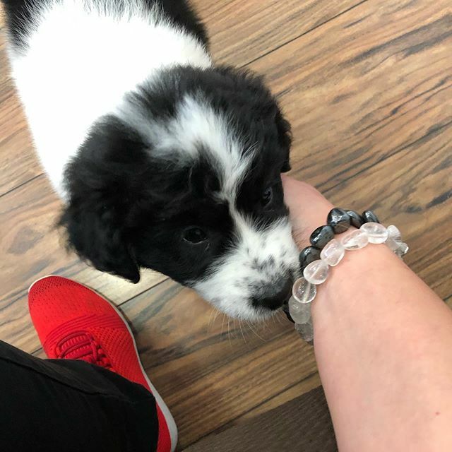 ponderingpdwn's tweet photo. Gick till frisören å blev kär 😻 https://t.co/N6G4yyKjgX https://t.co/LGxEt60z9J