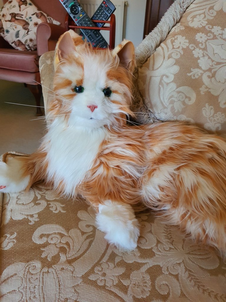 becky_amy7393's tweet image. My Granny loves this @JoyForAllPets cat. Really glad things like this exist for people with dementia. It makes a huge difference to her when she'd otherwise be quite isolated