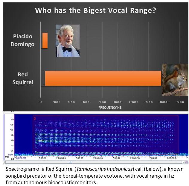 Naturalistics_'s tweet photo. And now we know. https://t.co/LgAPf7U00K