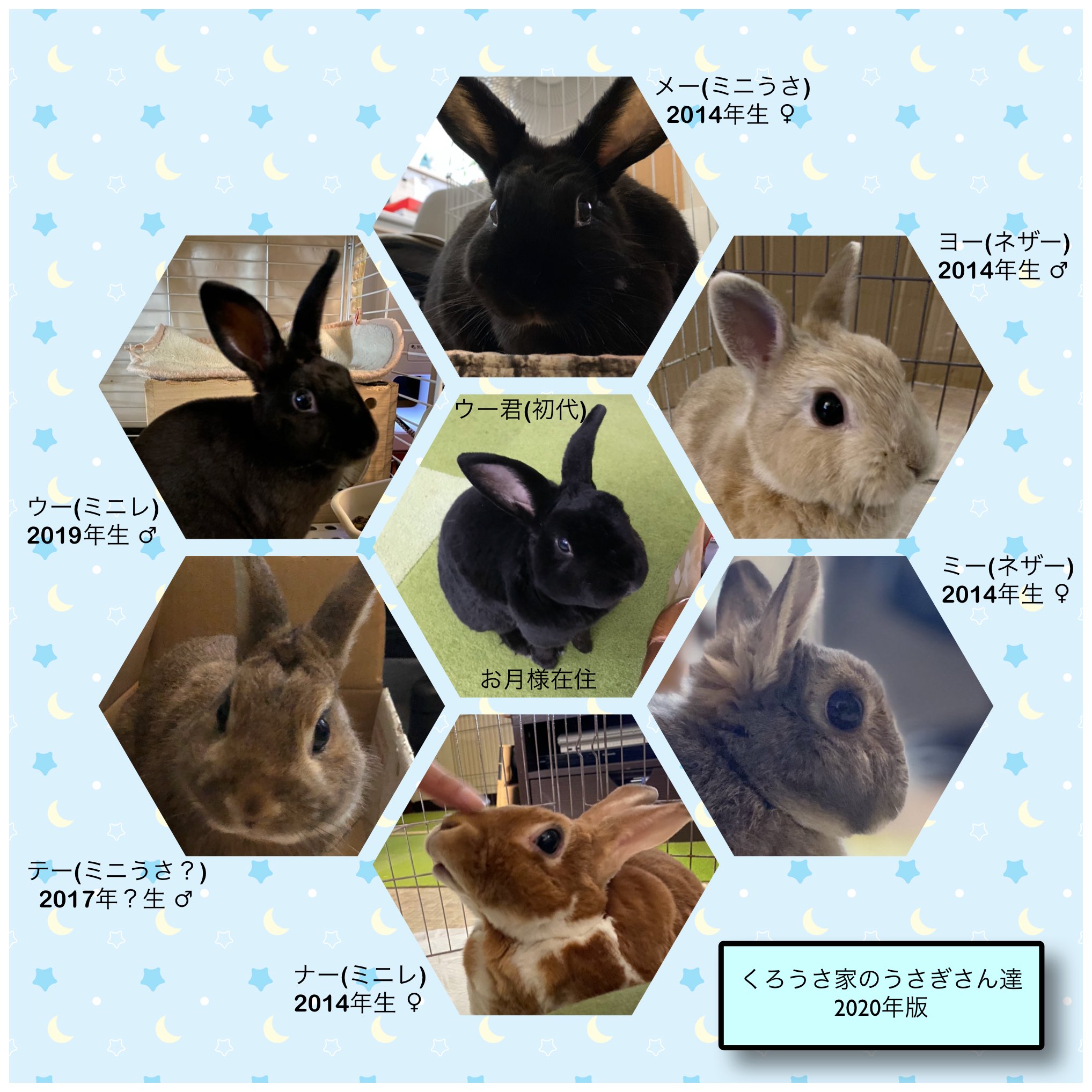 くろいうさぎたち🐰 (@wu51411) / X