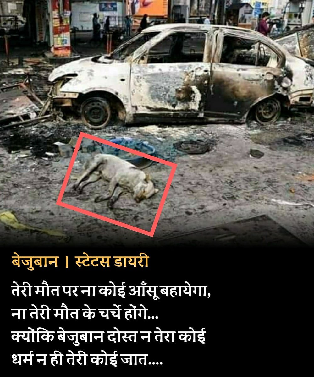 isumitranandan's tweet photo. तेरी मौत पर ना कोई आँसू बहायेगा, 
ना तेरी मौत के चर्चे होंगे...
क्योंकि बेजुबान दोस्त न तेरा कोई धर्म 
न ही तेरी कोई जात....

              बेजुबान । स्टेटस डायरी

#StatusDaayri https://t.co/eYXdDgcnwS