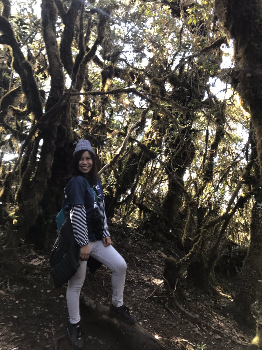 cheeenaa1's tweet photo. The happiest girl on earth! https://t.co/J10Ff5z1BY