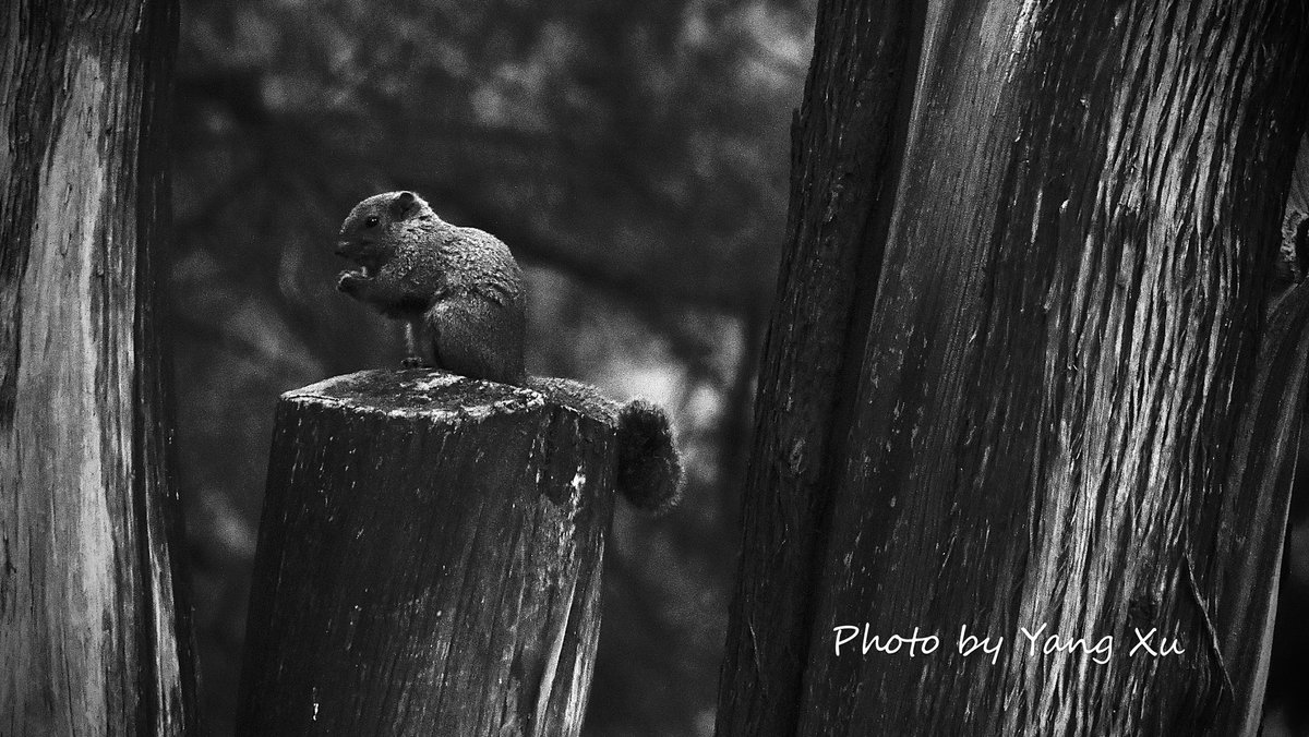 xydocu (@xydocu) on Twitter photo 