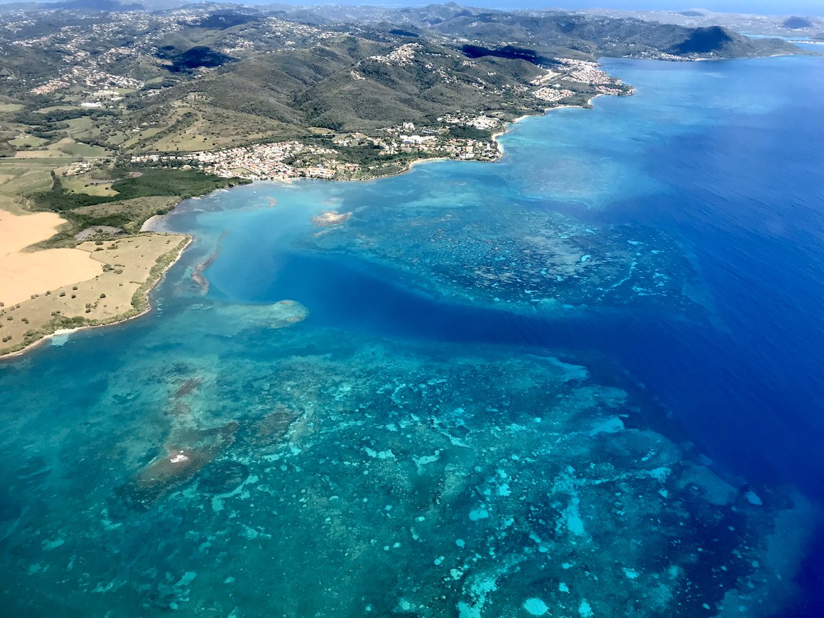 PollerW's tweet photo. #PilotsOfTwitter #BoysWhoFly #C172 #VFR #Martinique #TLPC https://t.co/zhSzFqb8bA