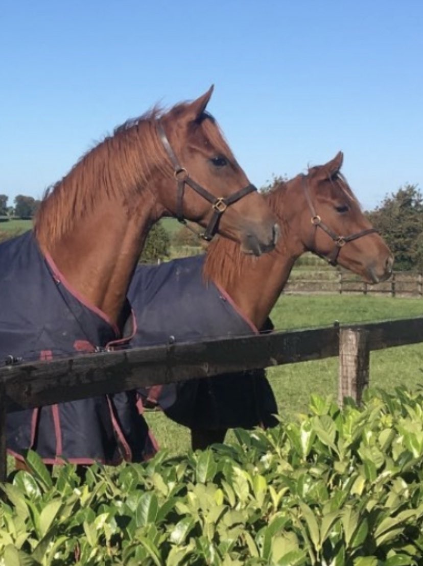 alan creighton tweet media