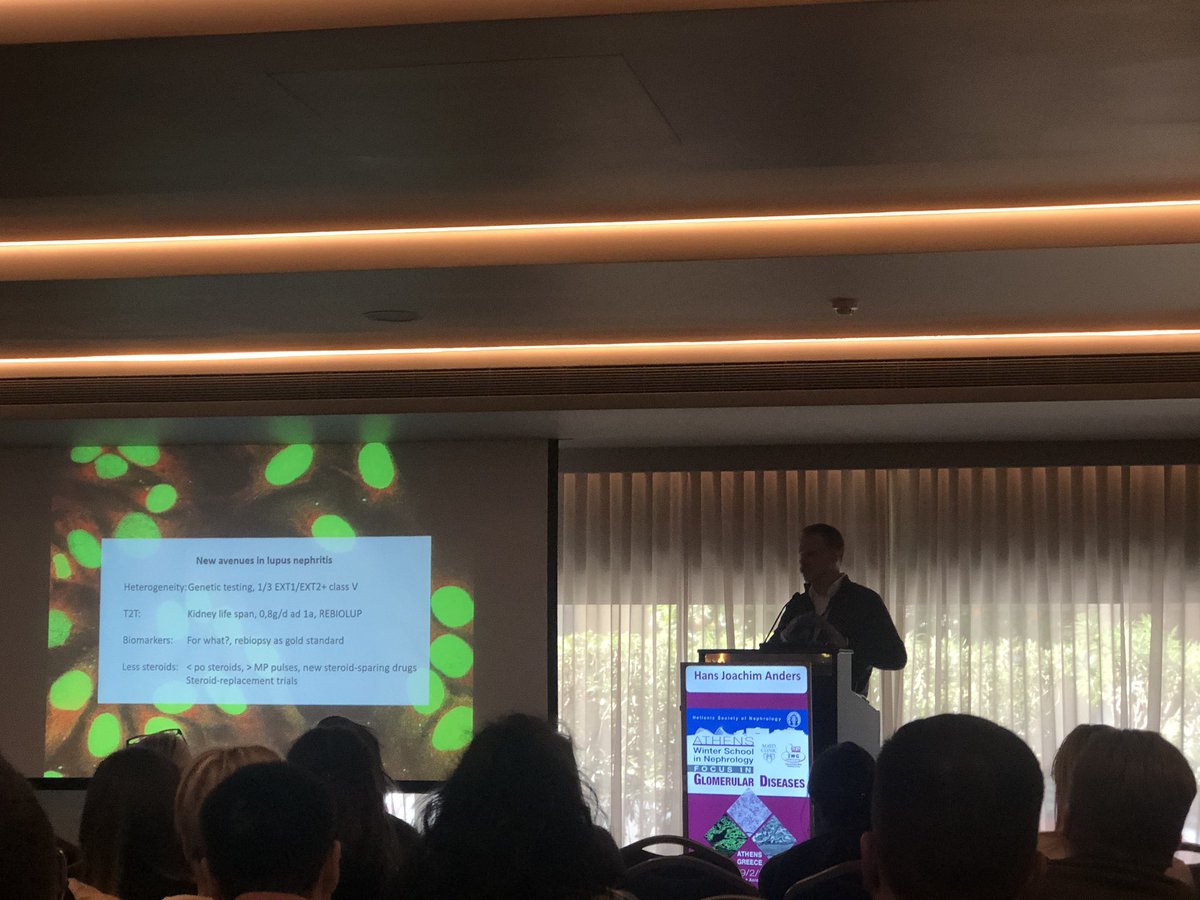 NephroSeeker's tweet photo. Great speech about new ways in old lupus nephritis #athensws20 @hjanders_hans https://t.co/e4Hsk7Uz4H