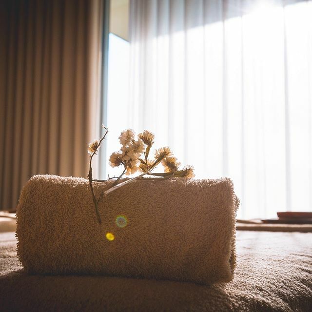 HotelMinho's tweet photo. A harmonia do SPA não está só nas massagens.
・
・
・
#hotelminho #hotelminhospa #spa #igersportugal #altominho #portugal_lovers #portugaldenorteasul #portoandnorthofportugal #visitportugal #vilanovadecerveira #travelgram #travelpics #relax #relaxing #r… https://t.co/8QCiovm3En https://t.co/lHkHa3uIWh