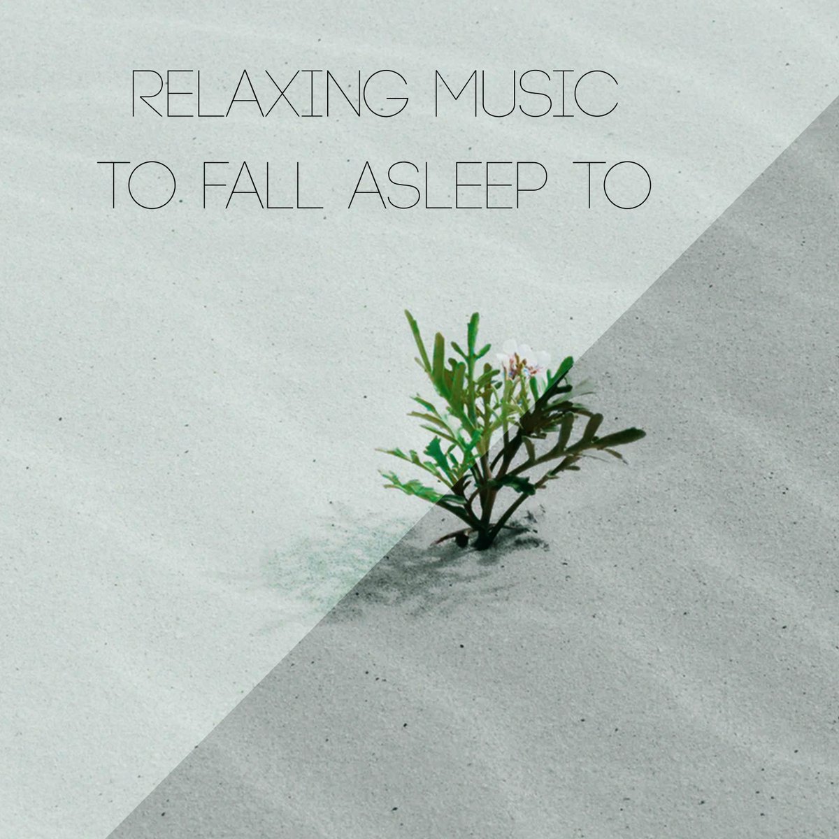 NKWmusic's tweet photo. @stmpix Hi there! I have featured you in my relaxing piano music playlist!

https://t.co/lPLHNQzLnd https://t.co/jQaOZq49AW