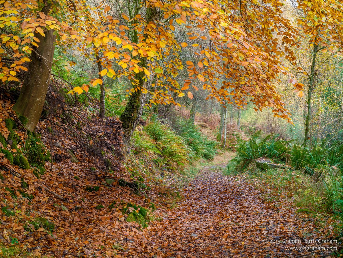 GHarrisG's tweet image. February #2020 draw tonight 8pm #Scottish time! 
Win any framed image from our website: ghgraham.com shipped free to anywhere in the world. Qualify with a #LIKE, #FOLLOW &amp;amp; #RT. Name drawn at random. Good luck!