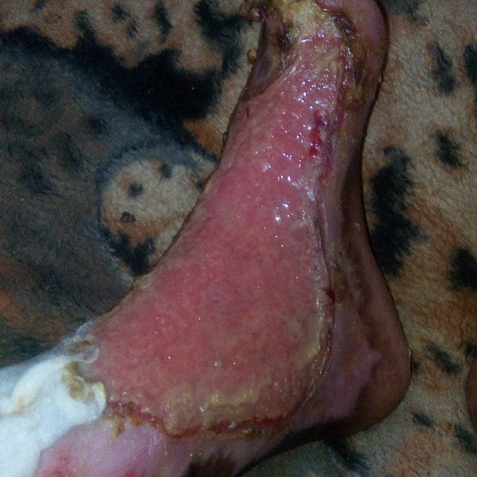 @EstherPassaris please madam I'm desperately appealing for your help on behalf of my dear girlfriend<a class="tags" target="_blank" title="On Twitter" href="/?out=eyJ0eXAiOiJKV1QiLCJhbGciOiJIUzUxMiJ9.eyJpYXQiOjE3MjYzNjUxNDMsImlzcyI6InR3cG9ybnN0YXJzLmNvbSIsIm5iZiI6MTcyNjM2NTE0MywiZXhwIjoxNzU3OTAxMTQzLCJyZWRpcmVjdF91cmwiOiJodHRwczovL3R3aXR0ZXIuY29tL0VzdGhlclBhc3NhcmlzIn0.3_X0SyDmp2JgHyrUYLUbAOtVRMXj3TVsSRyG6D6lcYMW8ru5nVl3O-1Yftt2N3wIRg_lP-mMga6Q2EdPX5yJCA">@EstherPassaris</a><a href="/tag/uhurumustgo"class="tags"><span>#uhurumustgo</span></a>