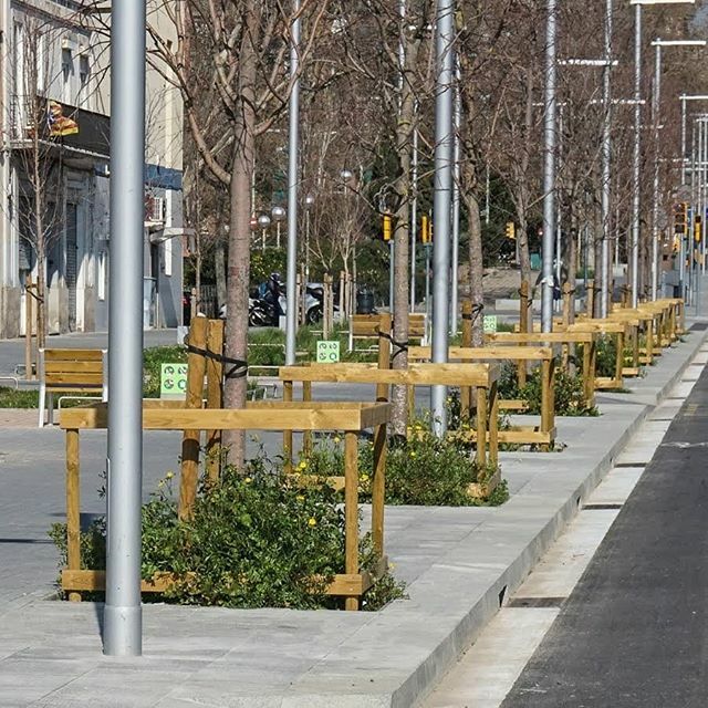 Subenuix1's tweet photo. 🌳🌲🌴 DE BARCELONA  029/366

Afavoriment de la biodiversitat i estalvi en herbicides. Escocells d'arbres amb sembra de plantes anuals, al carrer Pere IV, districte de Sant Martí

#escocells#biodiversitat#districtedesantmarti#poblenou#arbresdebarcelona#arbolesdebarcelona#bcn#bc… https://t.co/ZqYXGaSh7y